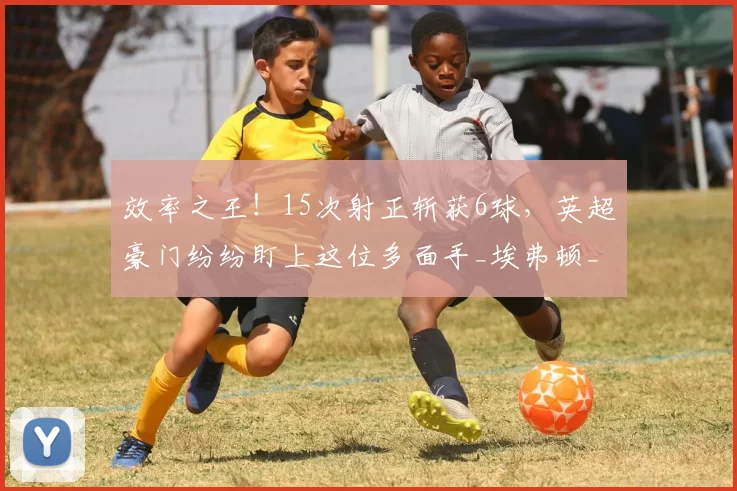 效率之王！15次射正斩获6球，英超豪门纷纷盯上这位多面手_埃弗顿_恩迪亚耶_国米