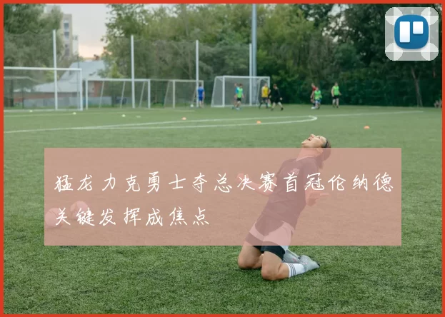 猛龙力克勇士夺总决赛首冠伦纳德关键发挥成焦点