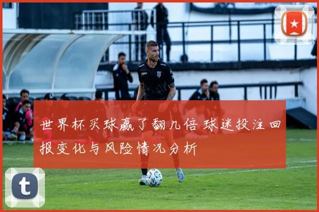 世界杯买球赢了翻几倍 球迷投注回报变化与风险情况分析
